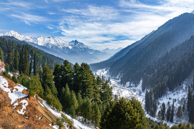 kashmir